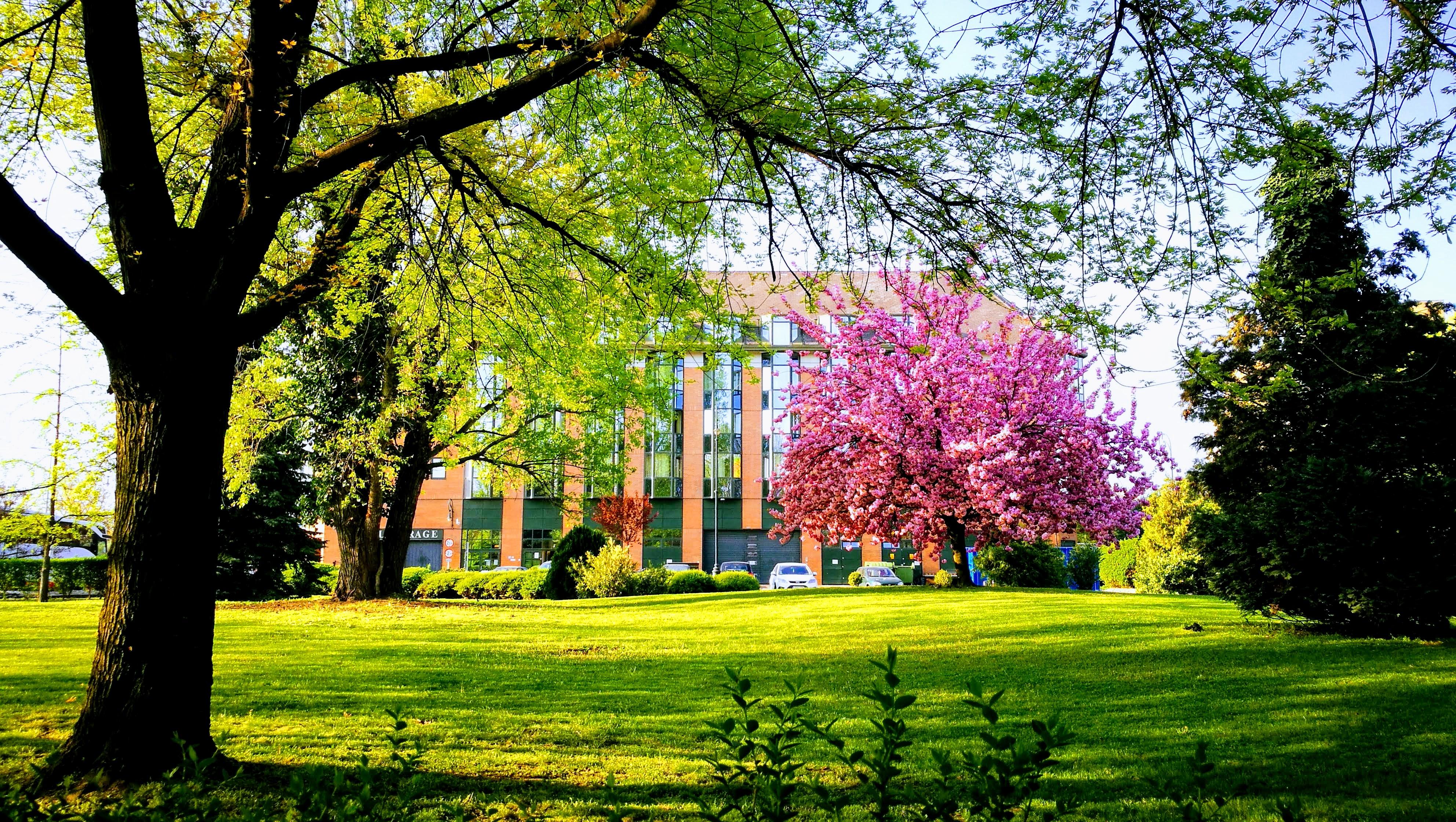 The Aquincum Hotel Budapest Exterior foto